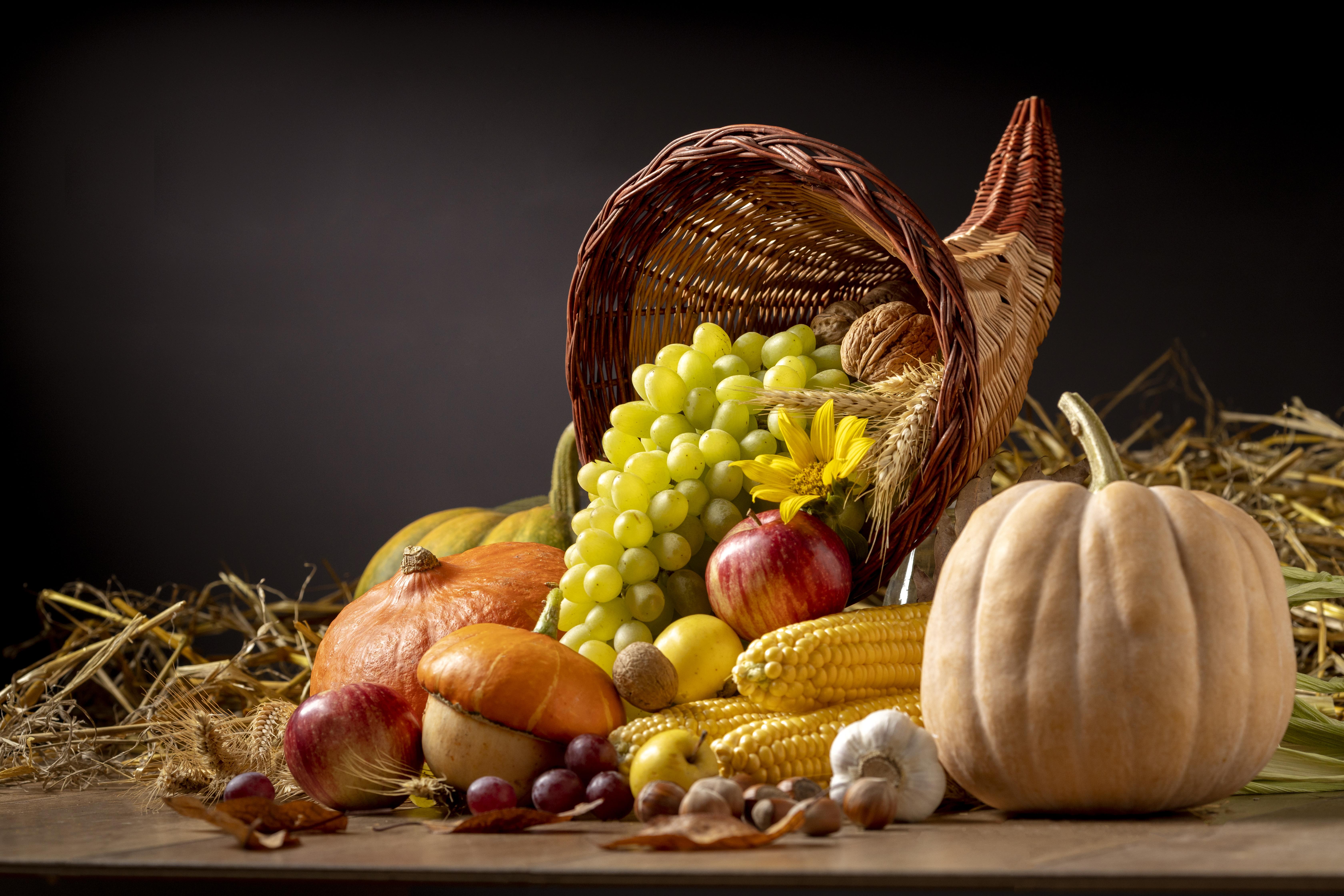 Celebrating Allergen-Free Thanksgiving festival